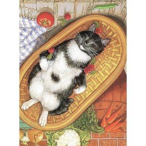 Cat Lovers Greeting Card Black/White Sleepy Cat Blank Cats Cards Collection VTG
